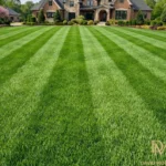 Wide lawn with fresh light and dark mowing stripes