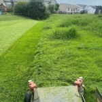 Overgrown lawn being cut back with a mower