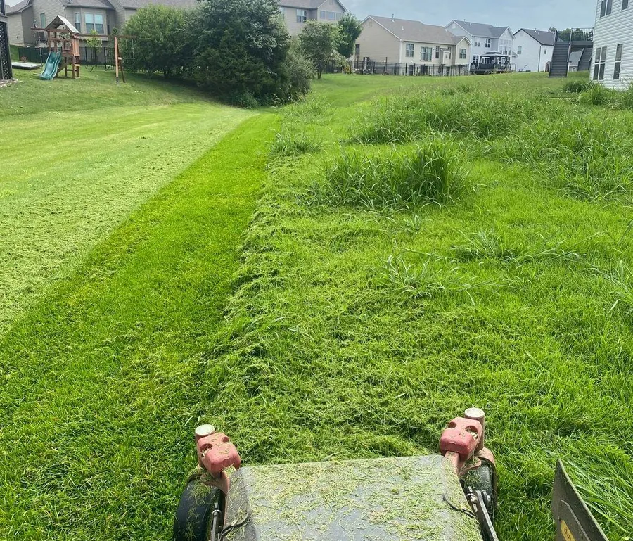 Overgrown lawn being cut back with a mower