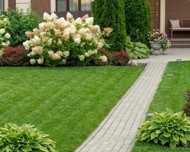 Finished lawn with a clean path edge